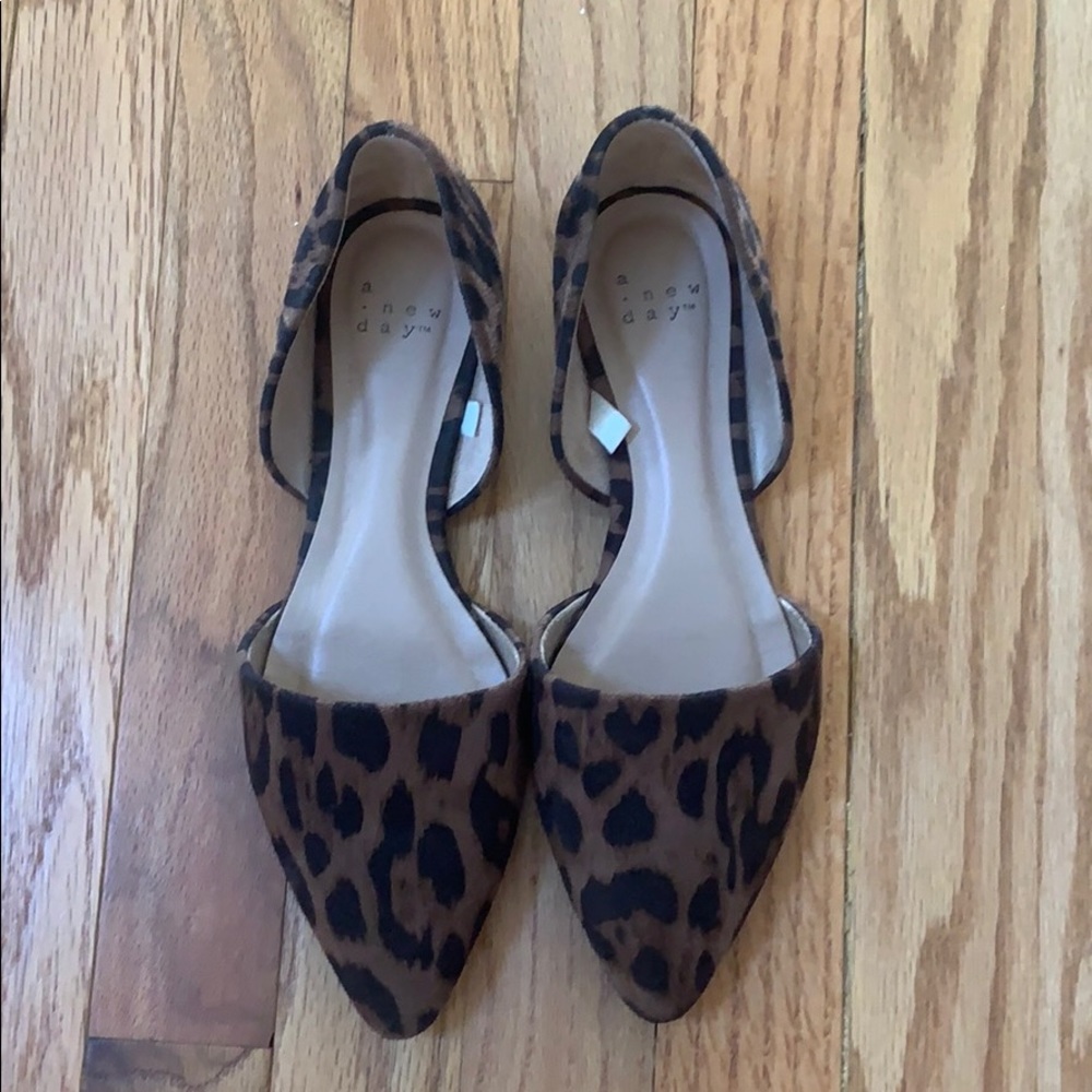 Cheetah Flats
